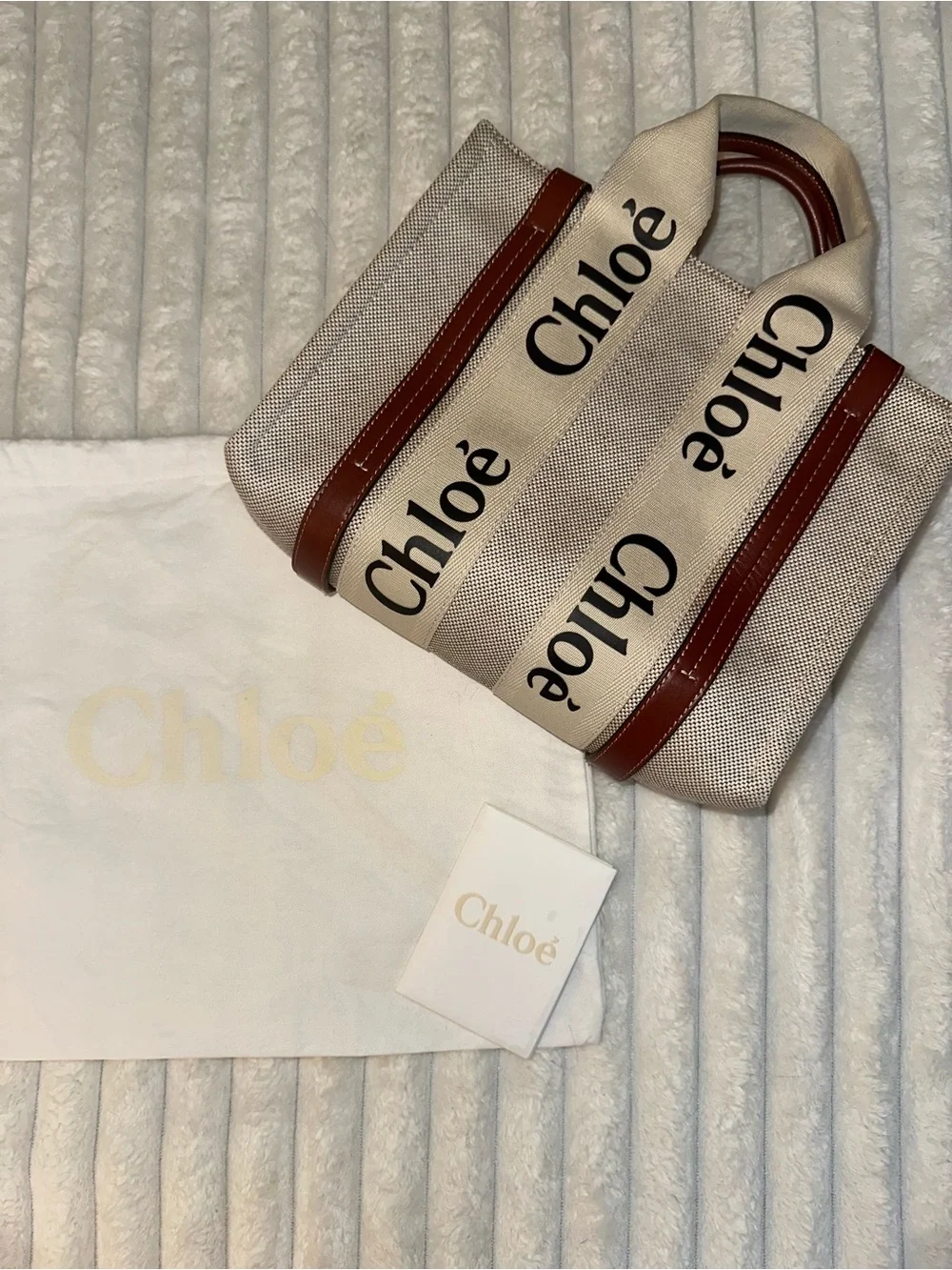 Chloe Small Woody Tote Bag - Picture 2 of 15